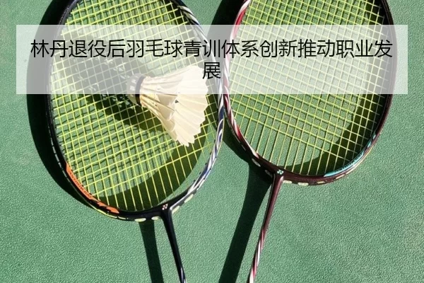 林丹退役后羽毛球青训体系创新推动职业发展